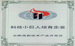 喜讯 乐鱼足球体育_乐鱼(中国)入选合肥高新区“科技小巨人”培育企业