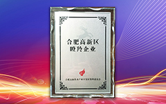 热烈祝贺乐鱼足球体育_乐鱼(中国)荣获合肥高新区2018年度“瞪羚企业”荣誉称号