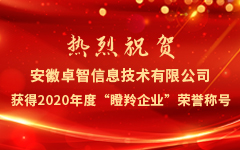 热烈祝贺安徽乐鱼足球体育_乐鱼(中国)信息技术有限公司获得2020年度“瞪羚企业”荣誉称号